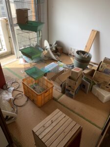 お片付けの事でお悩みなどありましたら何でもお問い合わせください